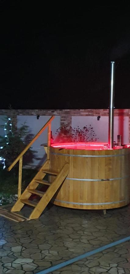 Pensiunea Luminita Targu Jiu Bagian luar foto